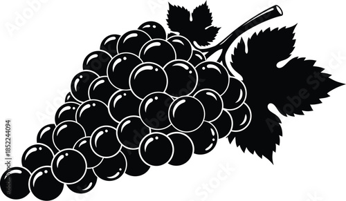 A detailed bunch of grapes illustration perfect for designs on transparent background silhouette