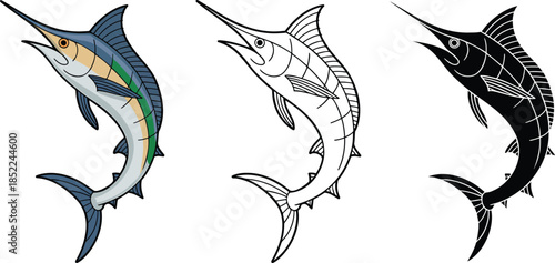 Blue marlin fish silhouette & Outline and illustration set isolated on transparent background