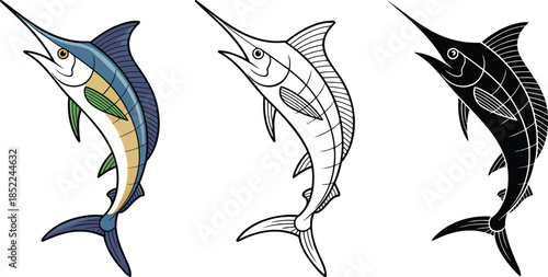 Blue marlin fish silhouette & Outline and illustration set isolated on transparent background