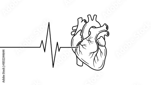 Human heart with heartbeat line in monochrome style on white background