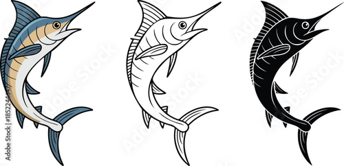 Blue marlin fish silhouette & Outline and illustration set isolated on transparent background