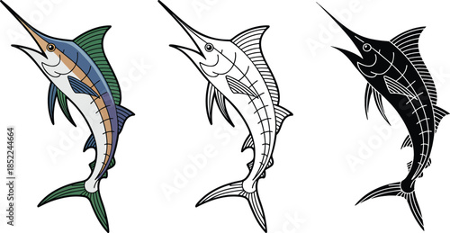 Blue marlin fish silhouette & Outline and illustration set isolated on transparent background