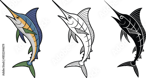 Blue marlin fish silhouette & Outline and illustration set isolated on transparent background