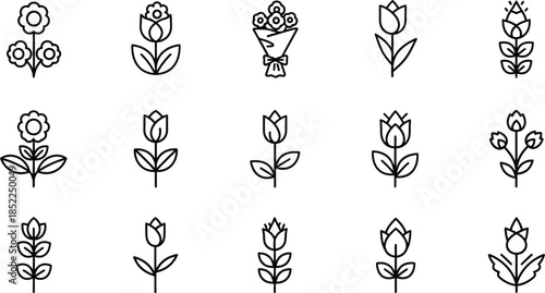 Collection of delicate floral line art icons on transparent background silhouette