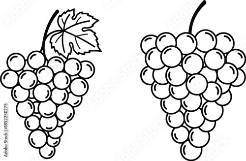 Two bunches of grapes in black and white perfect for design on transparent background silhouette