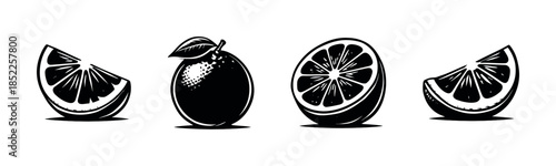 Orange vector illustration, four designs. Black and white orange fruit flat vector style