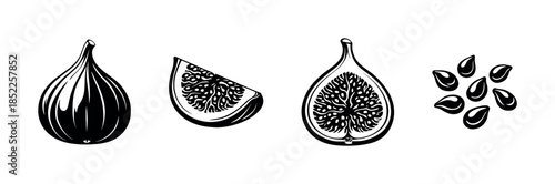 Fig vector illustration, four designs, berry, seeds, black and white, flat vector style