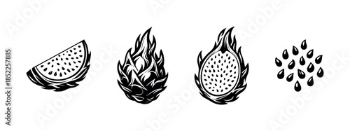 Dragon fruit vector illustration, tropical designs, seeds, flat vector style