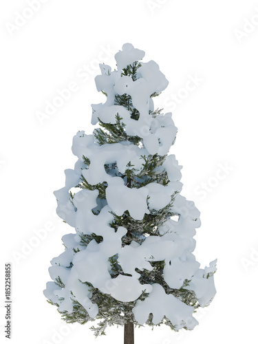 Snow-Covered Evergreen Tree on White Background