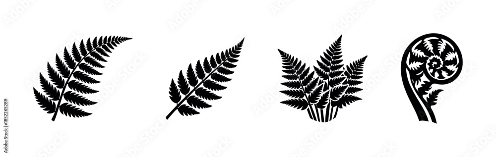 Obraz premium Fern leaves, flat vector illustration with leaves, silhouette, cut section