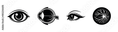 Human eye vector illustration, anatomy, ophthalmology, flat vector style