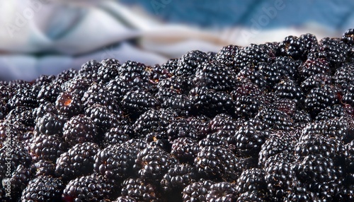 Abundance Of Blackberry Close