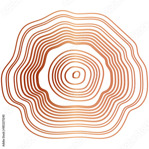  Elegant wood texture with golden rings and organic patterns.