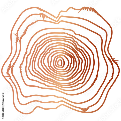  Elegant wood texture with golden rings and organic patterns.