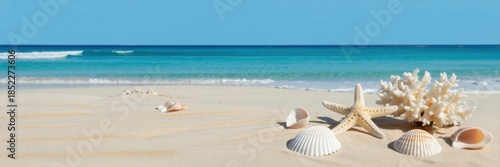 Seashells on Beach: This tranquil scene captures the essence of a serene beach, with scattered seashells, a starfish, and coral adorning the warm.