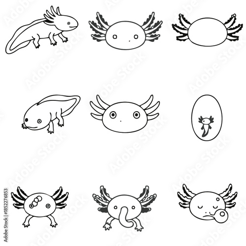 Vector illustration collection features black and white axolotl amphibians in various poses, including a realistic side view, cute cartoon faces, an embryo, and whimsical expressions