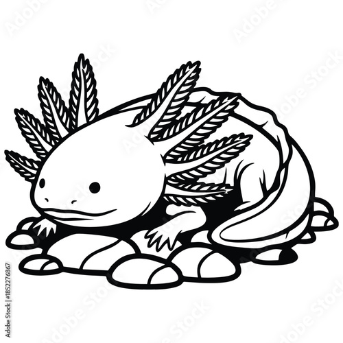 Charming black and white axolotl illustration, depicting the unique amphibian resting peacefully on smooth rocks Its distinctive feathery gills and gentle expression add to its endearing appeal