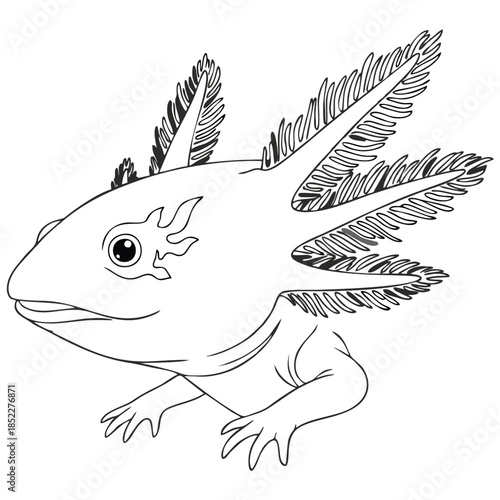 Black and white line art illustration featuring an axolotl, highlighting its unique feathery external gills and serene facial expression Perfect for educational materials or coloring pages