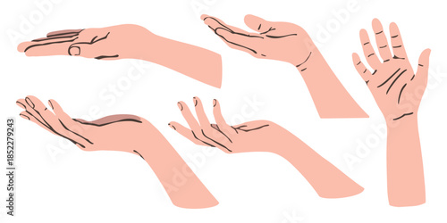 Set of facing up hand illustration isolated on white background. People open palm up in getting or receiving something gesture, holding, showing, presenting product business concept.