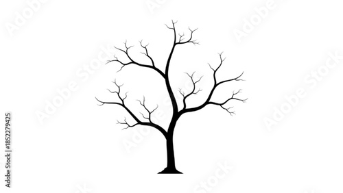 Vector silhouette of barren tree