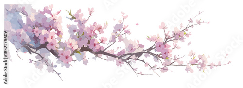 Delicate pink cherry blossoms on a graceful branch, beautifully blooming against a clean transparent background, symbolizing spring's renewal.
