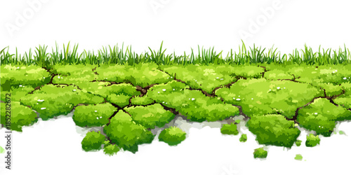갈라진 녹색 이끼와 풀이 있는 투명한 배경의 클로즈업 텍스처