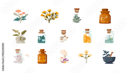 다양한 약초와 식물, 병에 담긴 재료들이 모여 있는 일러스트 모음