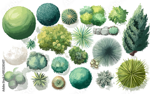 다양한 식물과 나무의 평면도, 조경 디자인 및 식물학 일러스트레이션에 이상적입니다.