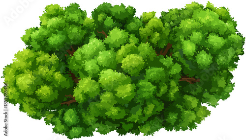 초록색 잎사귀로 덮인 무성한 나무의 위에서 본 모습, 투명한 배경에 분리된 자연 요소