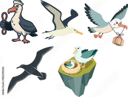 Albatross seabirds flying soaring nesting and fishing set