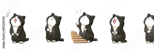 Serie di vignette animate di un simpatico gatto bianco e nero con espressioni diverse su sfondo trasparente.