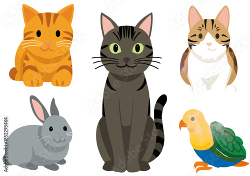 Collezione di animali domestici illustrati: gatti, coniglio e pappagallo su sfondo trasparente.