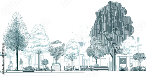 Disegno tecnico di profilo di alberi e vegetazione urbana con sfondo trasparente per progetti di architettura.
