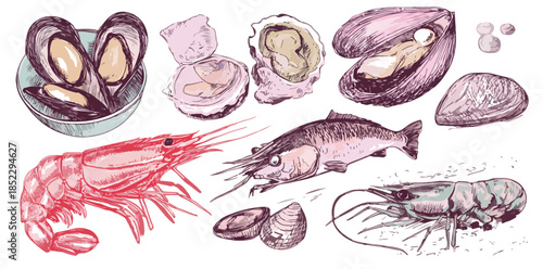 Illustrazione a mano di varietà di frutti di mare freschi, gamberi, ostriche e cozze su sfondo bianco.