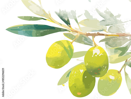 透明感のある水彩画タッチで描かれた、青々としたオリーブの実と葉のクローズアップイラスト。