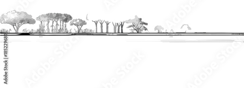 多様な樹木が並ぶ風景の線画イラスト、水面に映る様子が透明感のある表現で描かれている