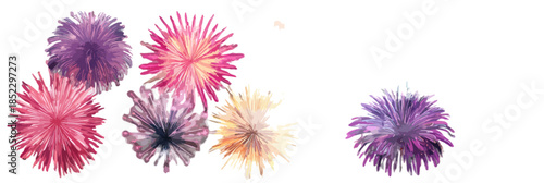 カラフルなアスターの花が白い背景に浮かび上がり、透明感のある繊細な美しさを表現しています。