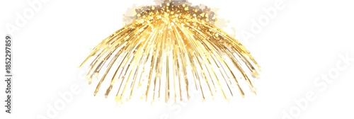 輝く金色の花火が夜空に炸裂する様子。お祝いや祝祭の象徴。