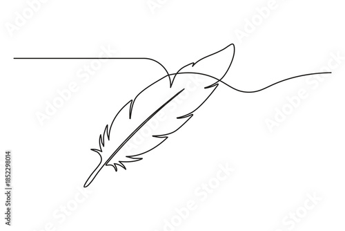Elegant bird feather sketch with continuous line drawing for minimalist decor
