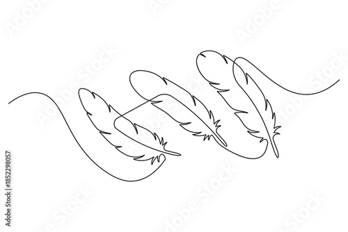 Simple yet elegant bird feather continuous line drawing for modern prints