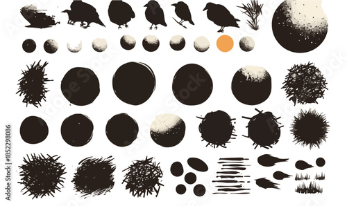 様々なテクスチャとシルエットのベクター素材集。透明感のあるデザイン要素が豊富で、クリエイティブな制作に役立ちます。