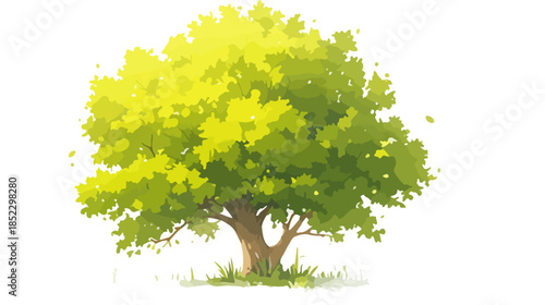 緑豊かな葉を持つ美しい木が白い背景に描かれており、透明感のあるイラスト。