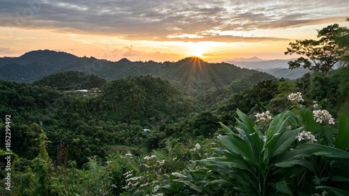 Lush green mountains at sunset