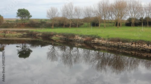 trees reflected in Fazouro river, Galicia, Spain