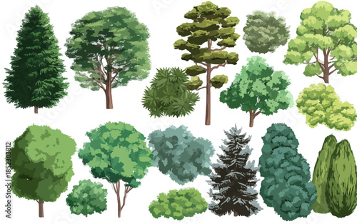 Colección de ilustraciones vectoriales de diversos árboles y arbustos verdes con fondo transparente para diseño.