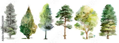 Colección de seis árboles ilustrados en acuarela con fondo transparente para diseño gráfico y paisajismo.