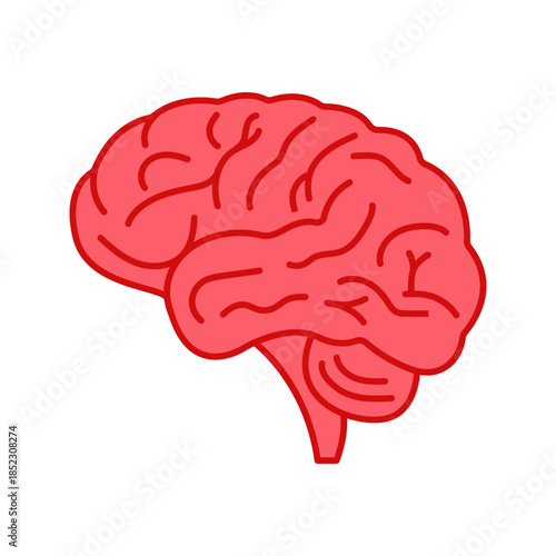 Human brain anatomy flat color icon isolated vector
