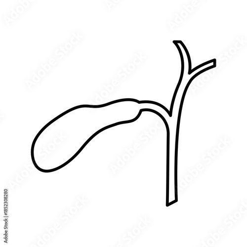 Human gallbladder digestive system line art outline icon
