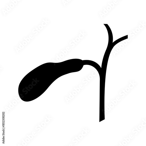 Human gallbladder digestive system solid glyph icon vector
