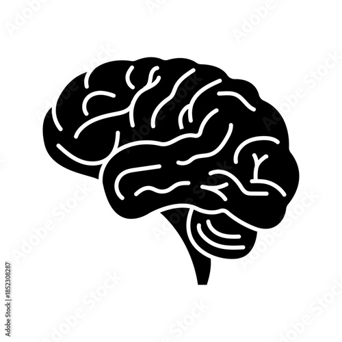 Human brain anatomy solid glyph icon isolated vector
